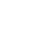 NFS Logo